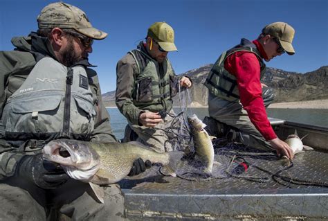 The meeting will be conducted in-person and via Zoom video conferencing. . Wyoming fish and game